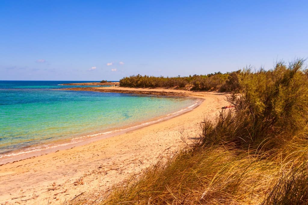 Torre Guaceto, spiaggia del Salento (adriatica), sabbia