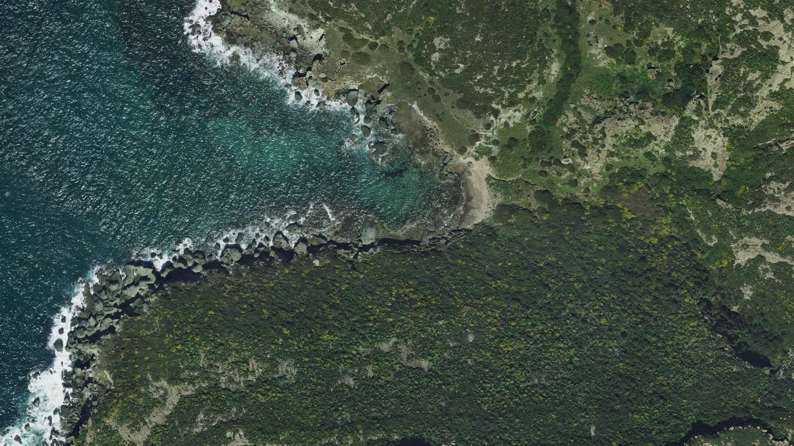 Aerial view of Cala Rapina