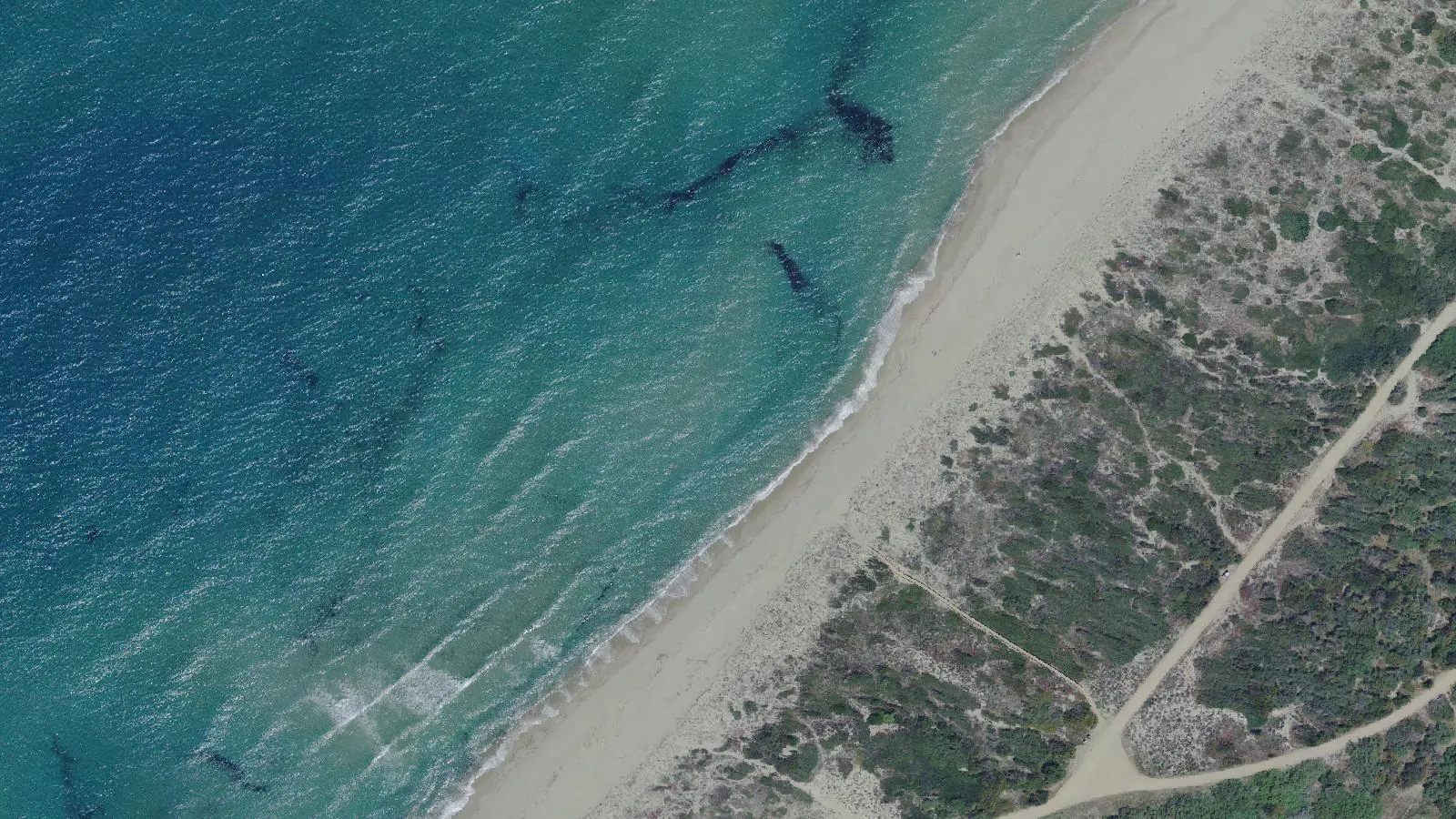 Vista aerea di Spiaggia di li Junchi