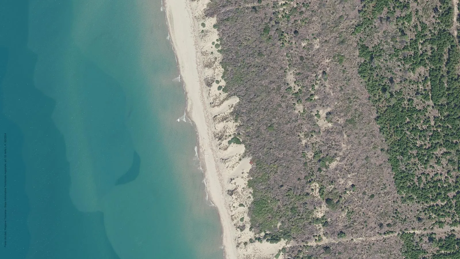 Aerial view of Macchia di San Rossore beach