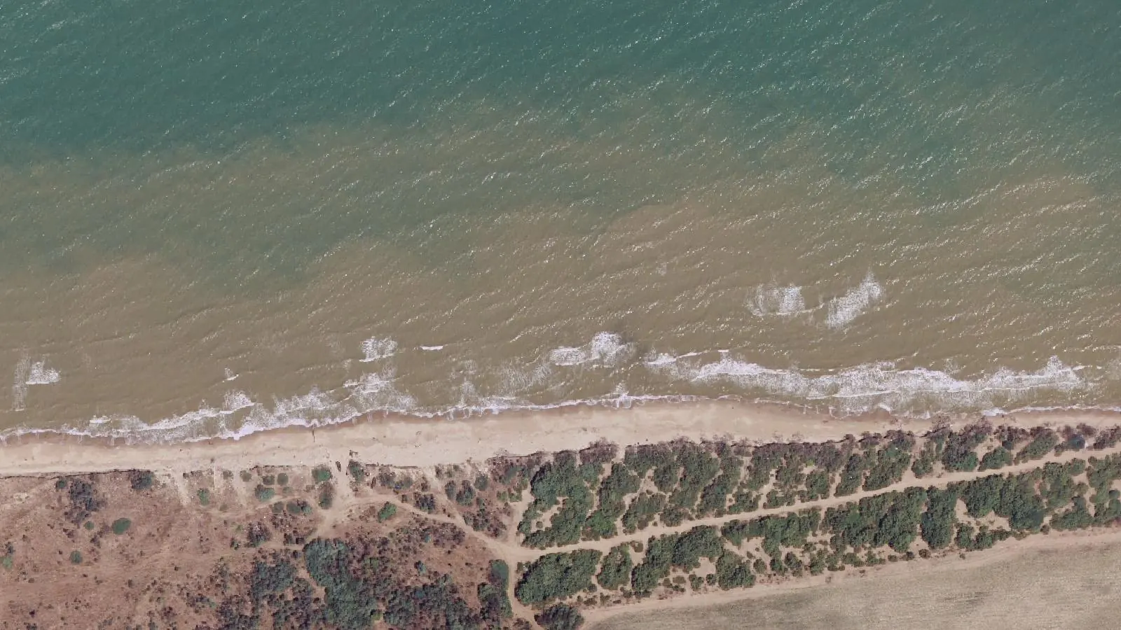 Vue aérienne de Plage de Marina di Serracapriola