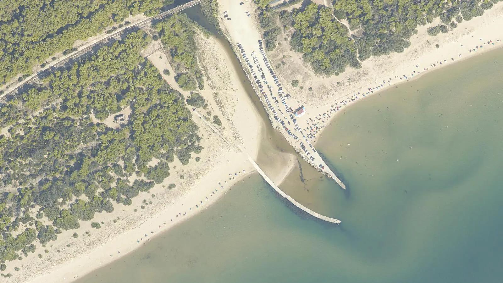 Vue aérienne de Plage de Pino di Lenne