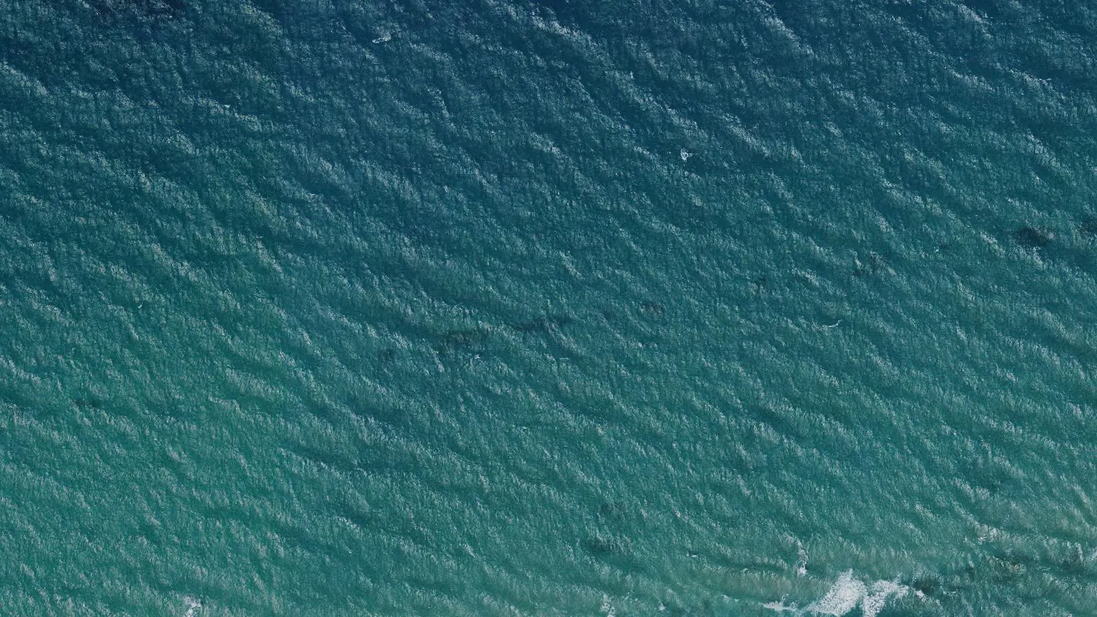 Vista aerea di Spiaggia di Serralonga