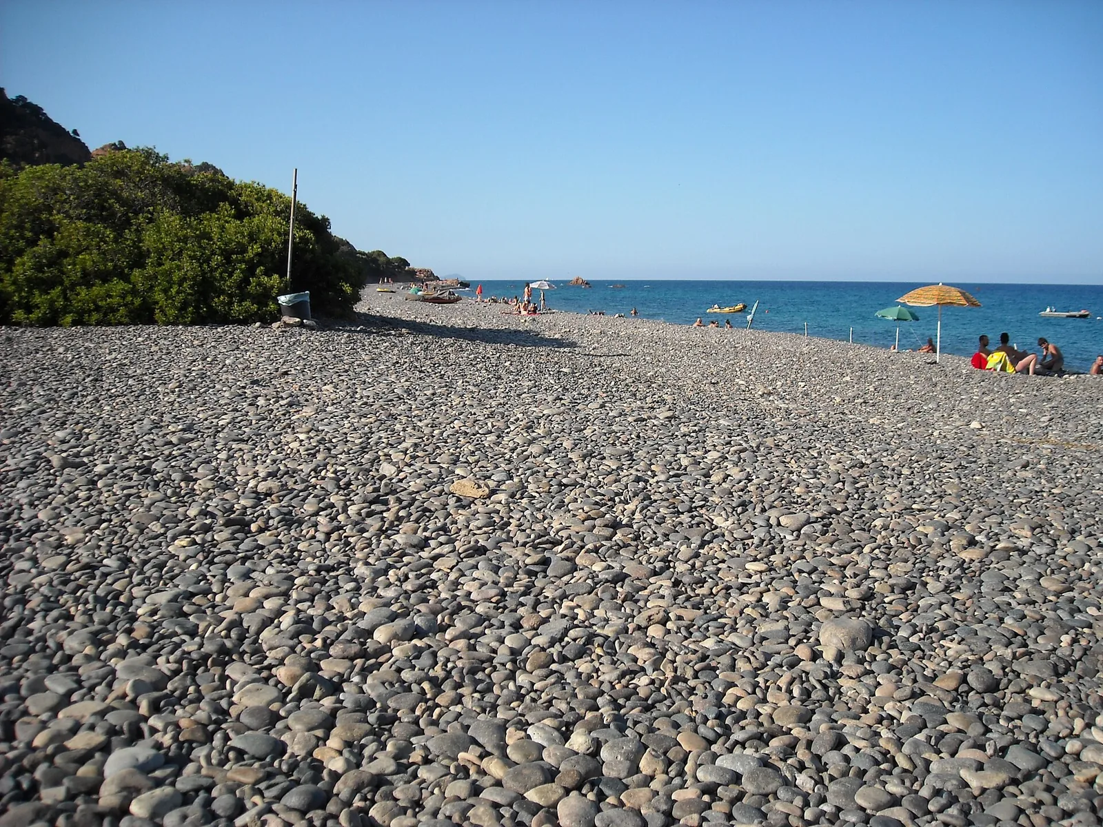 Coccorrocci
