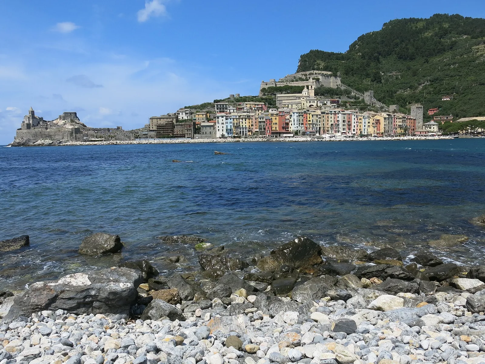 Gabbiano