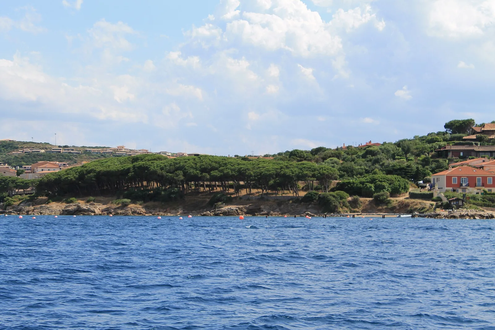 Palau vecchio