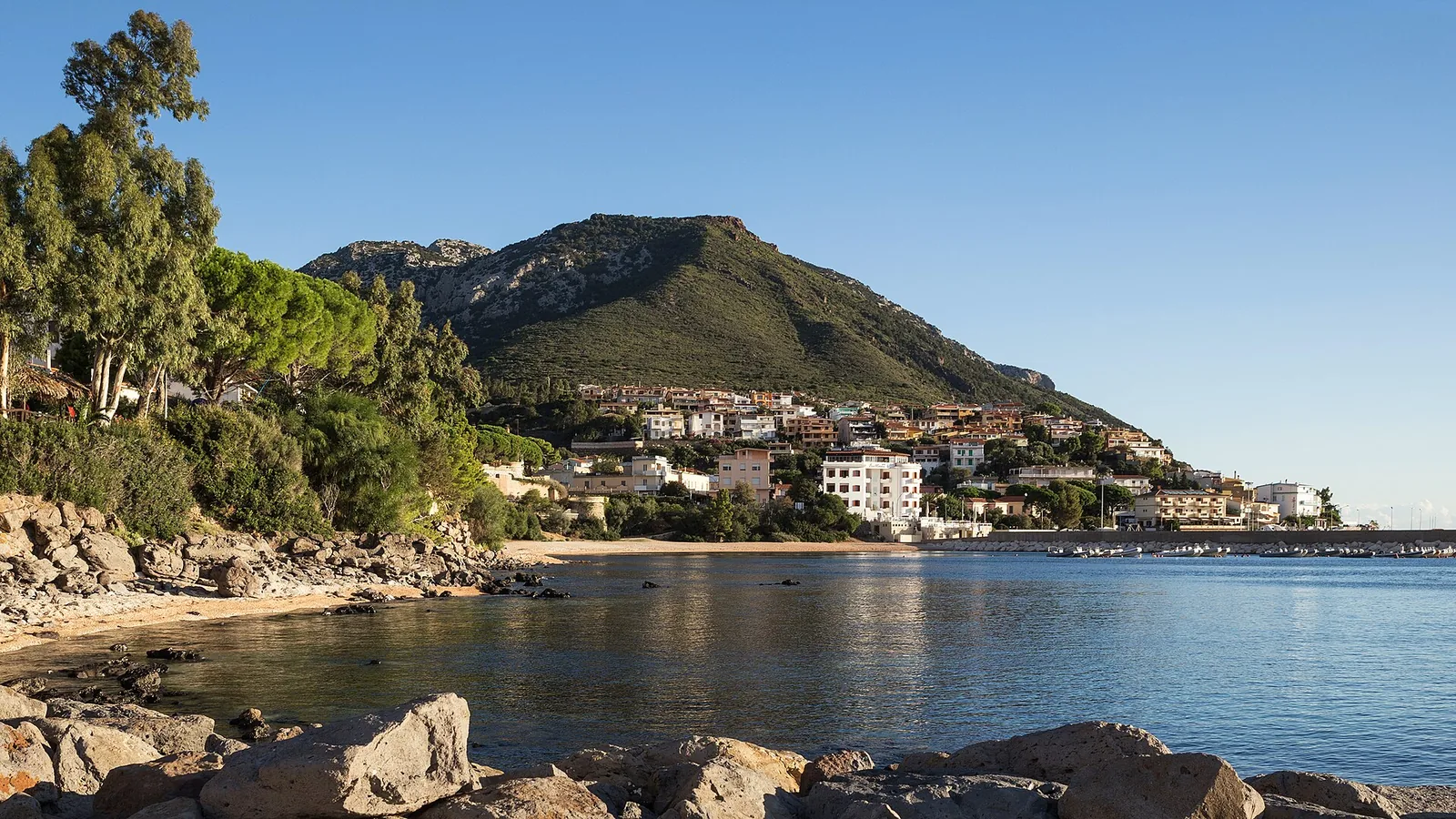 Palmasera