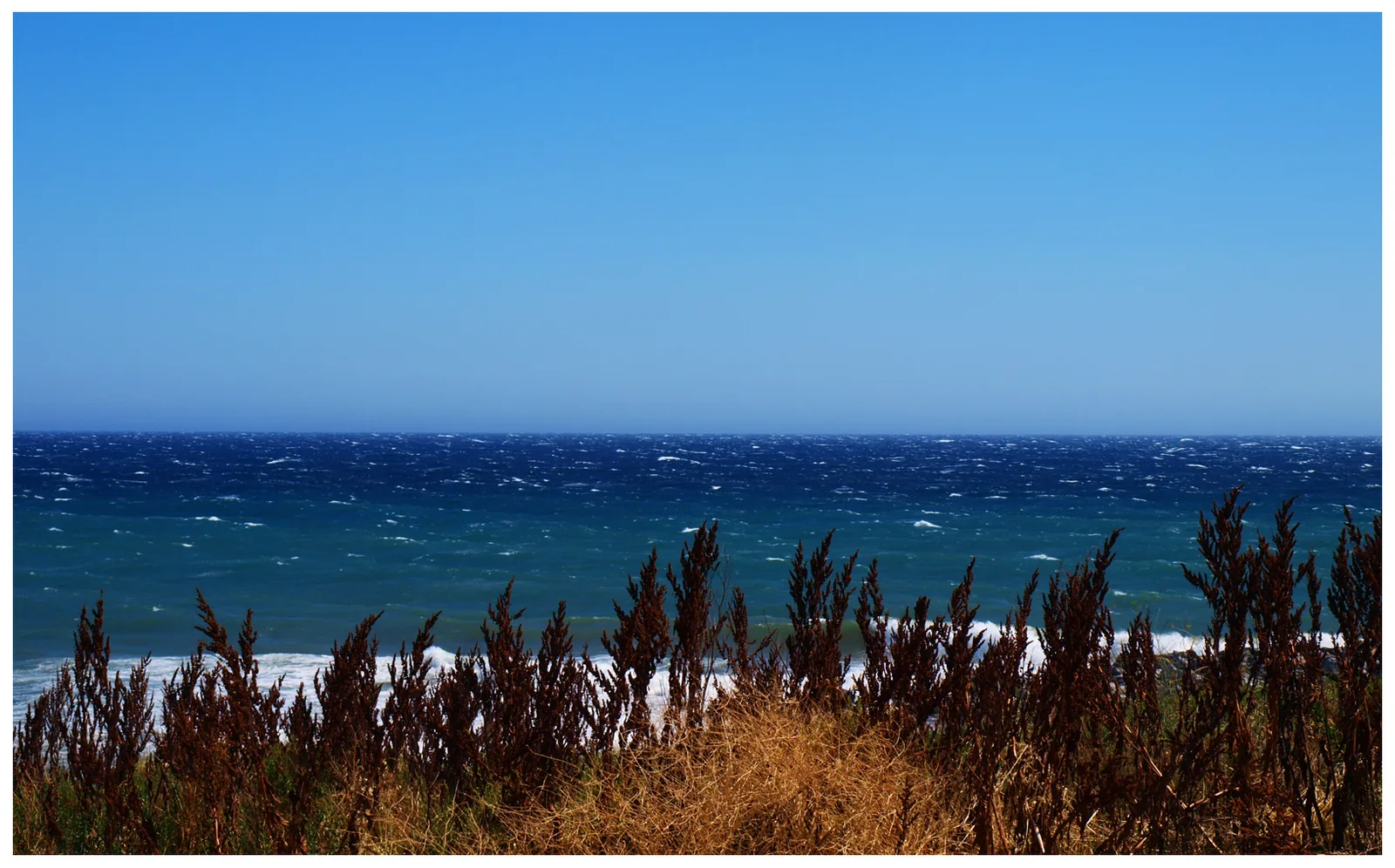 Bussana beach