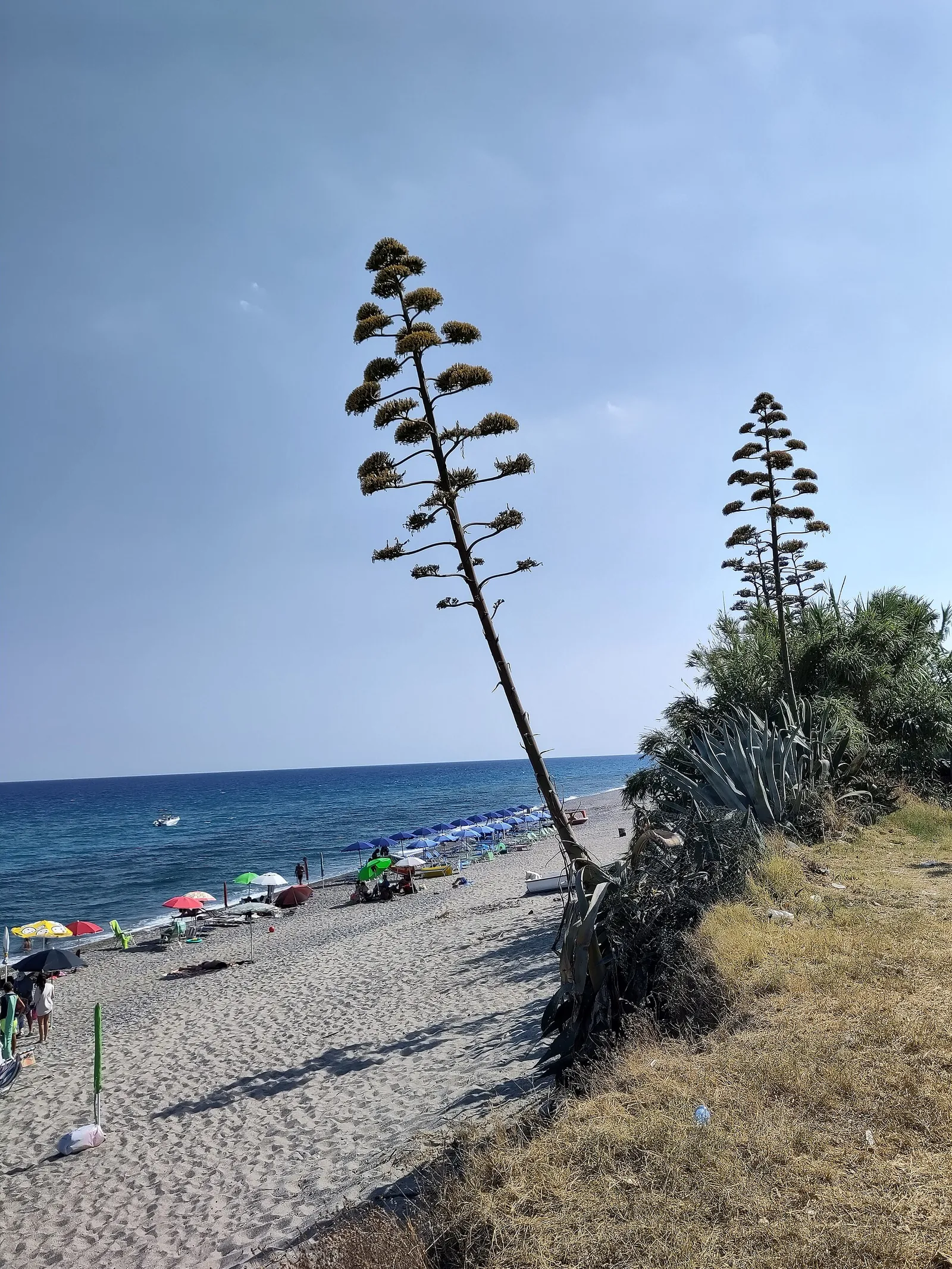 Plage de Caldarella