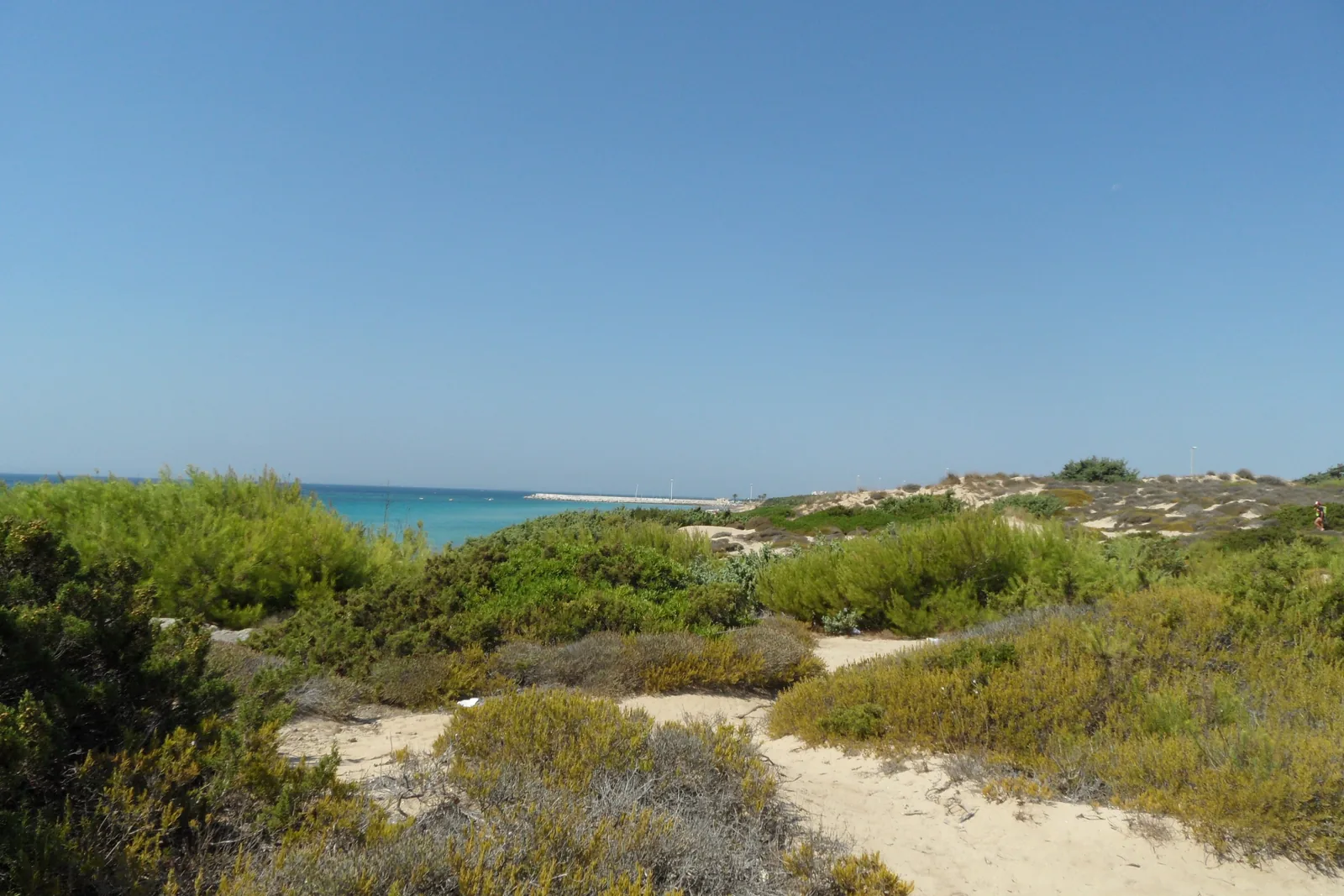 Strand von Campomarino