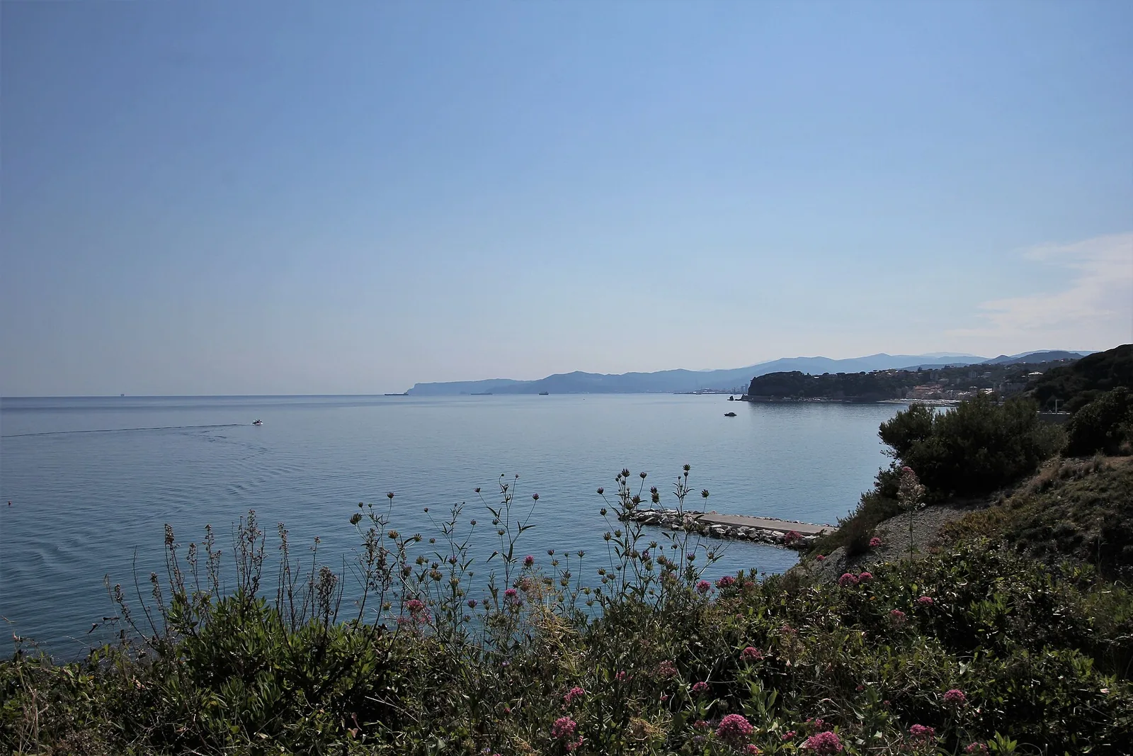 Custo beach