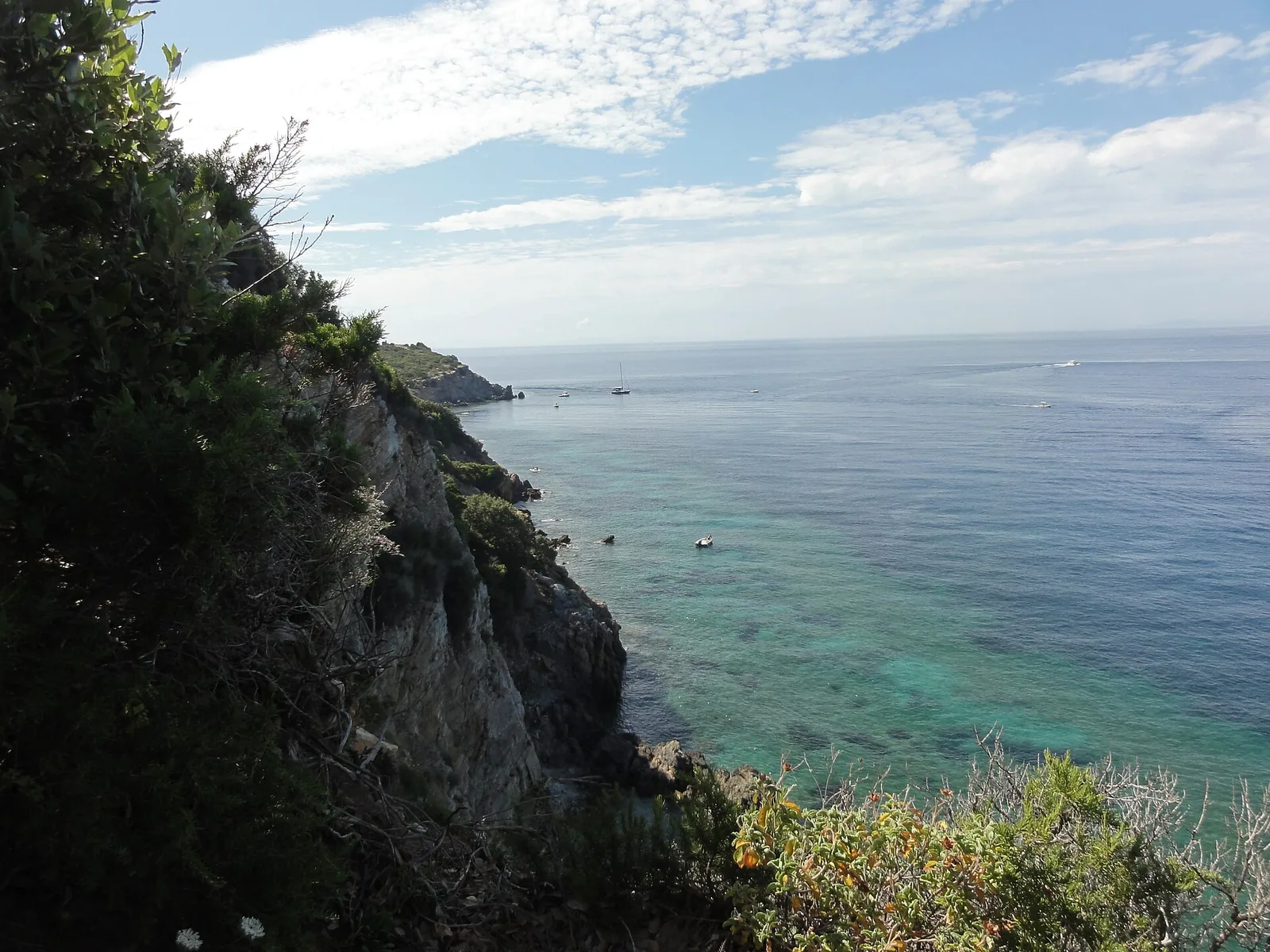 Giglio Campese beach