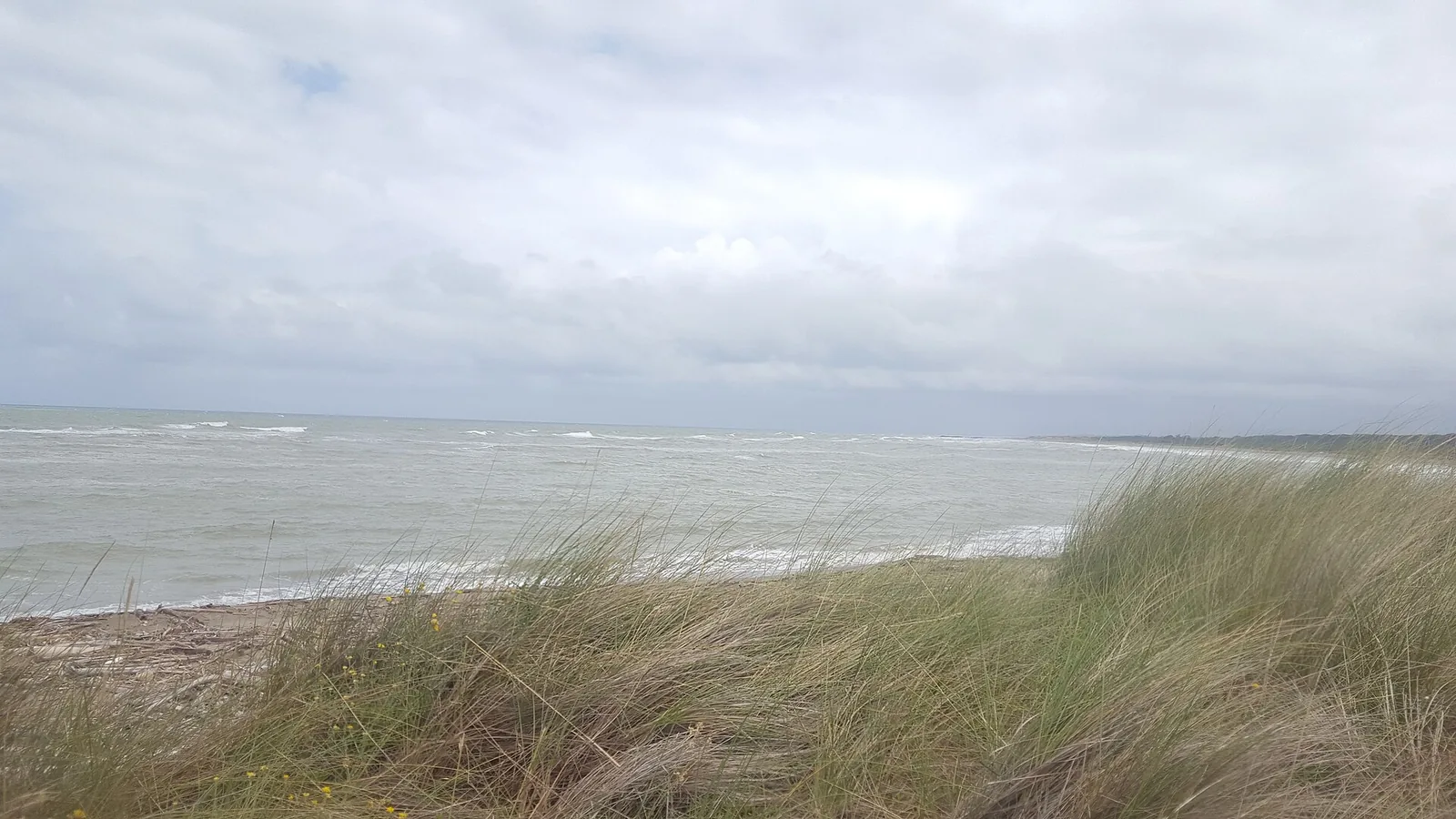 Spiaggia di Il Gombo