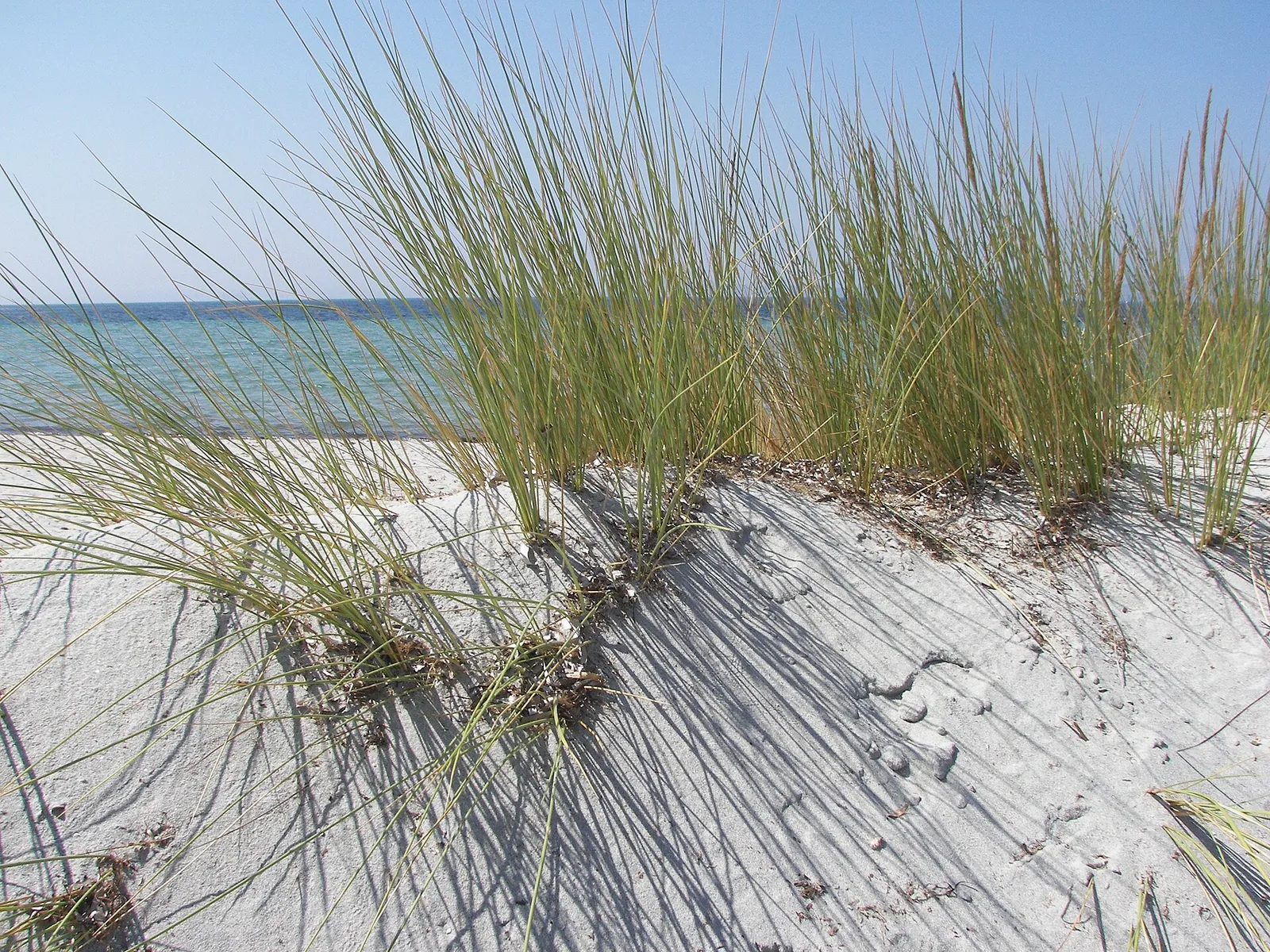 Spiaggia di Is Solinas