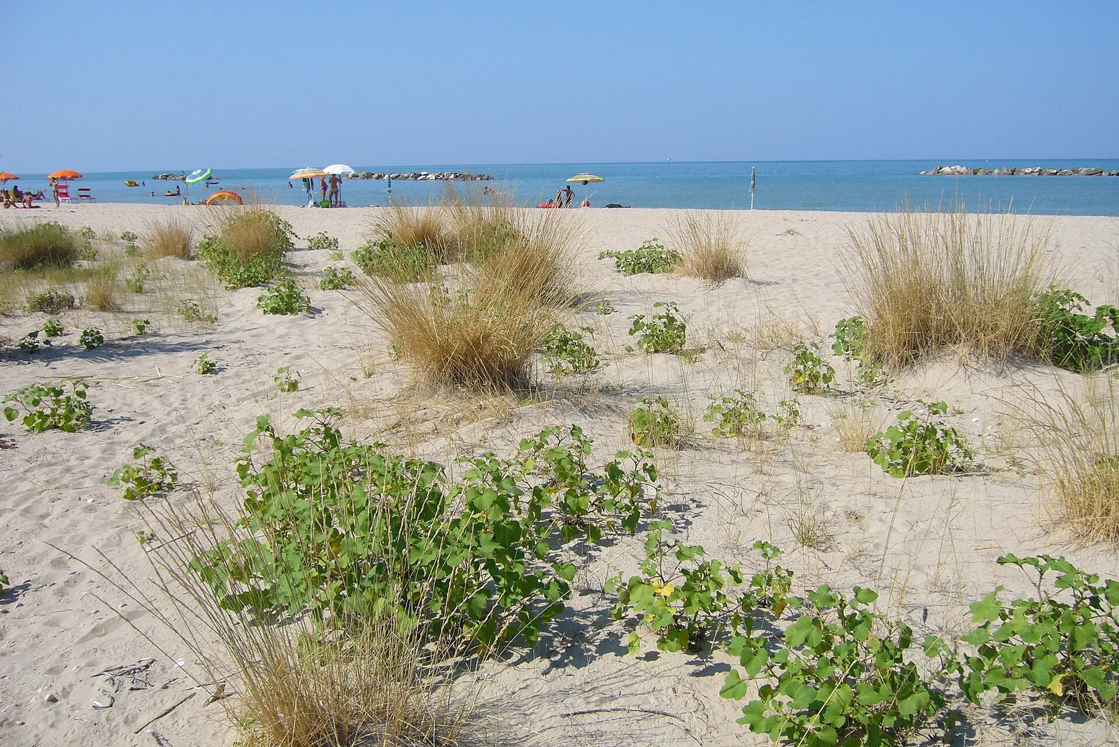 Spiaggia di Lido Riccio