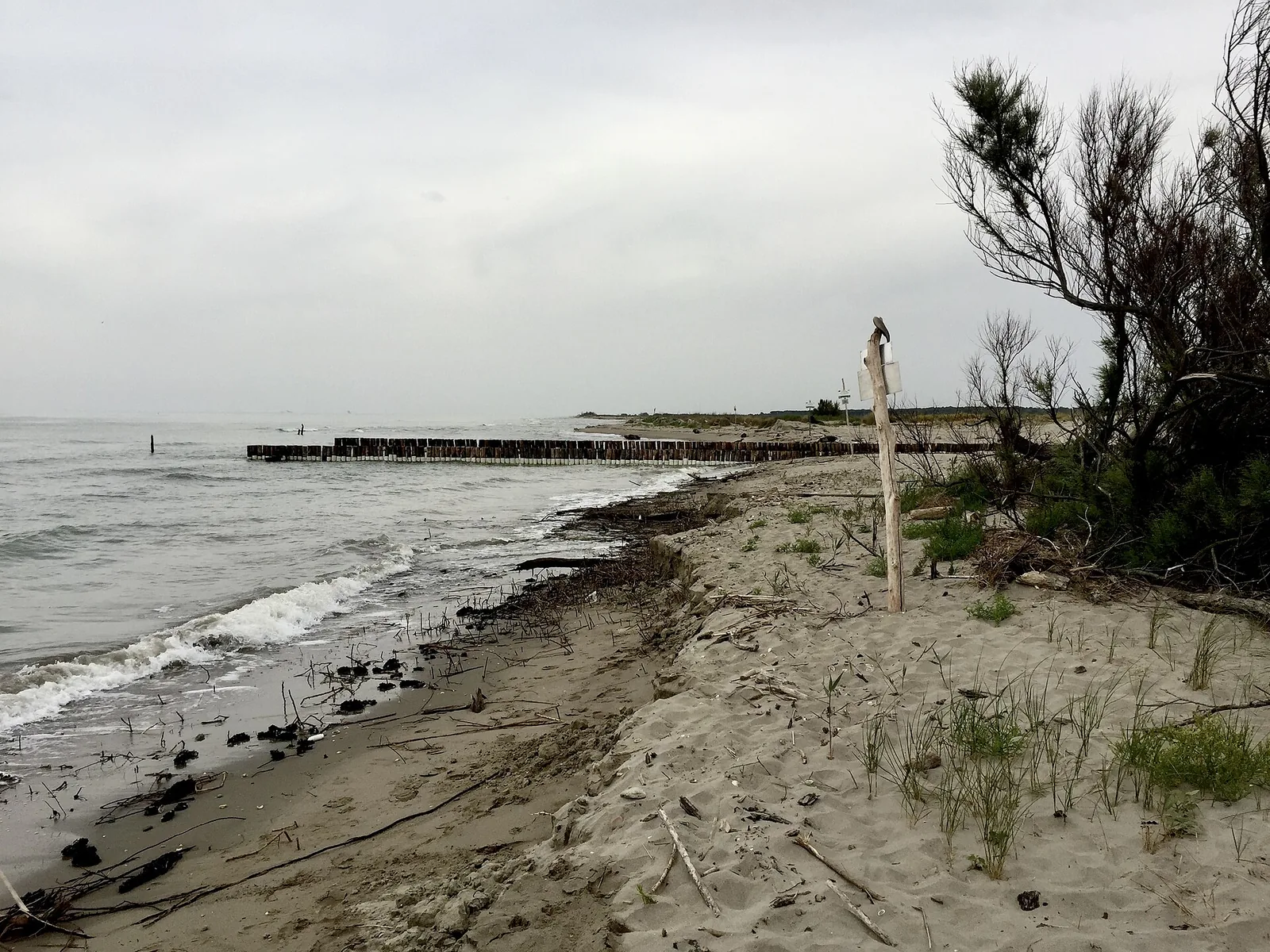 Spiaggia di Spina