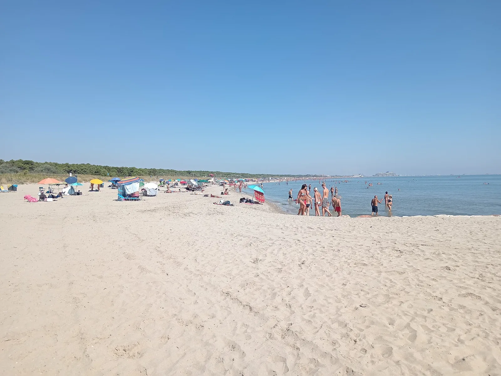 Spiaggia libera per cani